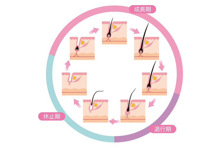 ヘアサイクル